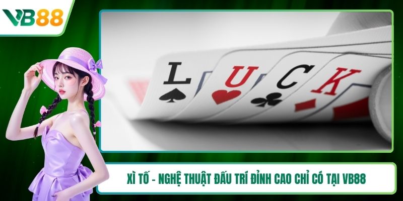 Xì tố